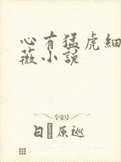 心有猛虎细嗅蔷薇小说