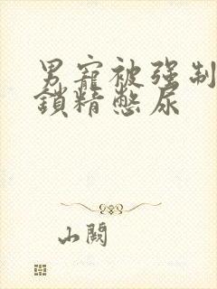 男宠被强制灌水锁精憋尿