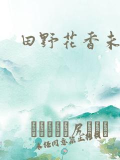 田野花香未删节