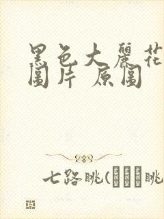 黑色大丽花真实图片 原图