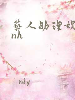 艺人助理娱乐圈nh