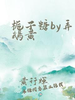 栀子糖by弄白鹅黄