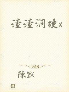 渣渣洞硬x