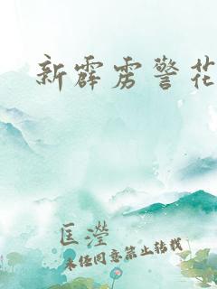 新霹雳警花