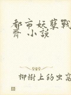 都市妖孽战神林齐 小说