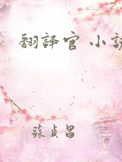翻译官 小说