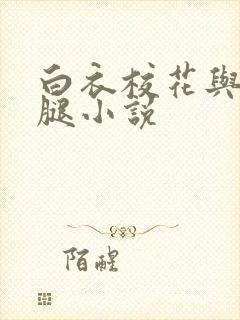 白衣校花与大长腿小说