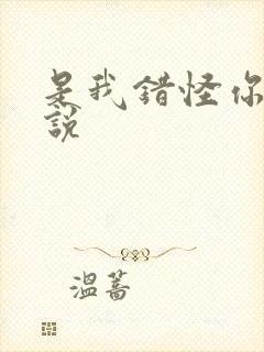 是我错怪你了小说