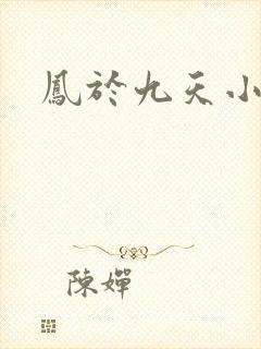 凤于九天小说