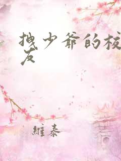 拽少爷的校花女友