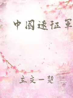 中国远征军小说