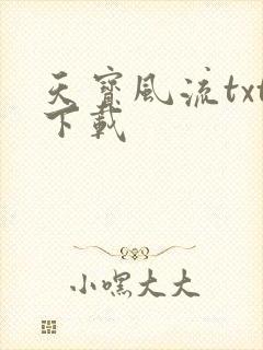 天宝风流txt下载