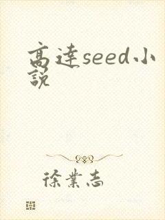 高达seed小说