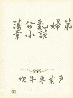 荡公乱妇第51章小说