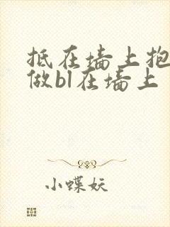 抵在墙上抱起来做bl在墙上