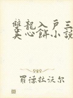 双龙入户三人行夹心饼小说