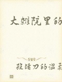 大杂院里的女人