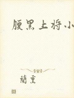 腹黑上将小小妻