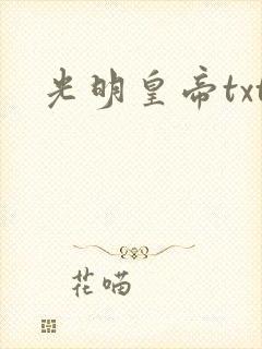 光明皇帝txt