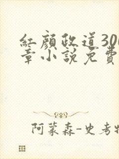 红颜政道300章小说免费阅读