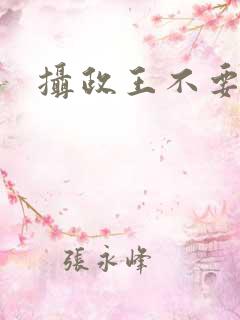 摄政王不要