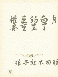 权臣的白月光前妻重生了