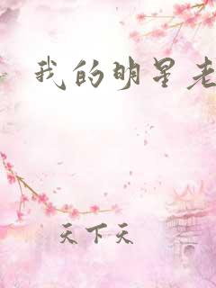 我的明星老豆