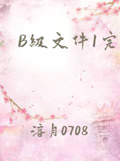 B级文件1完整