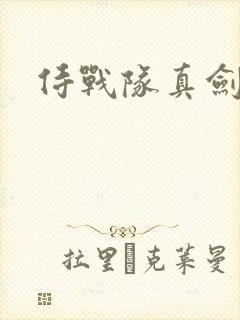 侍战队真剑者2
