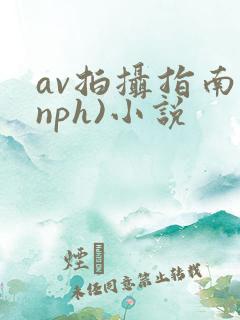 av拍摄指南(nph)小说