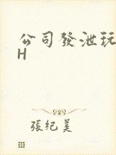 公司发泄玩具lH