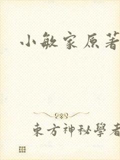 小敏家原著小说