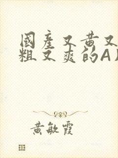 国产又黄又猛又粗又爽的A片小说