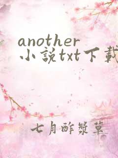 another小说txt下载