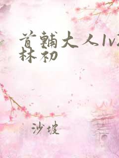 首辅大人1v2林初