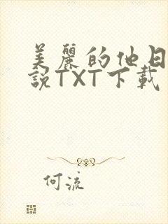 美丽的他日剧小说TXT下载
