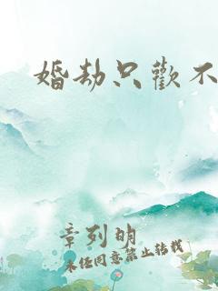 婚劫只欢不爱