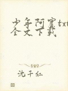 少年阿宾txt全文下载