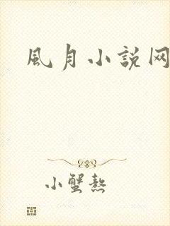 风月小说网