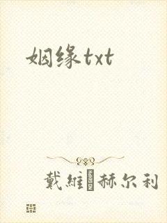 姻缘txt