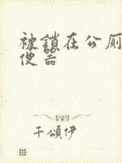 被锁在公厕当坐便器