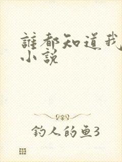 谁都知道我爱你小说