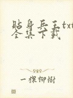 贴身兵王txt全集下载