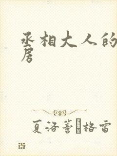 丞相大人的小通房