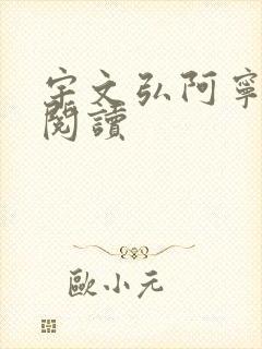 宇文弘阿宁全文阅读