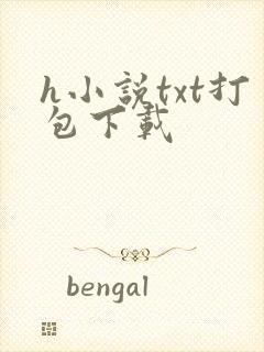 h小说txt打包下载