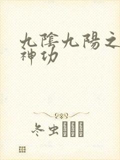 九阴九阳之阴阳神功