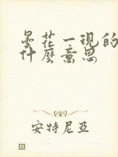 昙花一现的现是什么意思