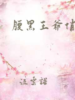 腹黑王爷俏医妃