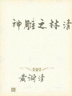 神雕之林清传